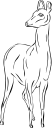 Deer Clipart