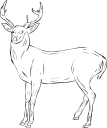 Deer Clipart