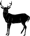 Deer Clipart