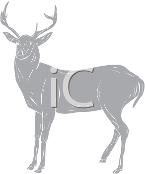 Deer Clipart