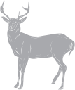 Deer Clipart