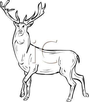 Deer Clipart