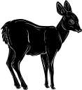 Deer Clipart