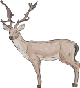 Deer Clipart
