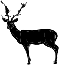Deer Clipart
