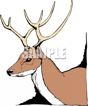 Deer Clipart