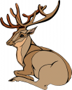 Deer Clipart
