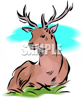 Deer Clipart