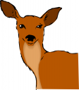 Deer Clipart