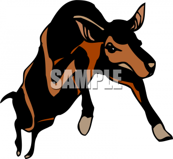Elk Clipart