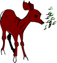 Deer Clipart