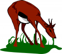 Deer Clipart