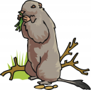 Grass Clipart
