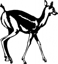 Deer Clipart