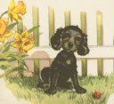 Daffodil Clipart
