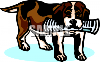 Pets Clipart