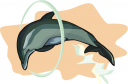 Dolphin Clipart