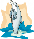 Dolphin Clipart