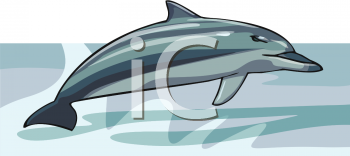 Dolphin Clipart