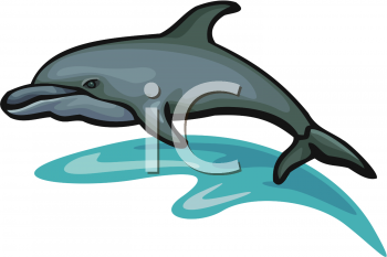 Dolphin Clipart