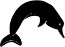 Dolphin Clipart