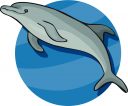 Dolphin Clipart