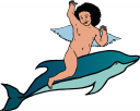 Dolphin Clipart