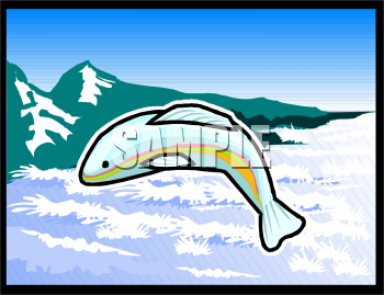 Dolphin Clipart