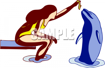Dolphin Clipart