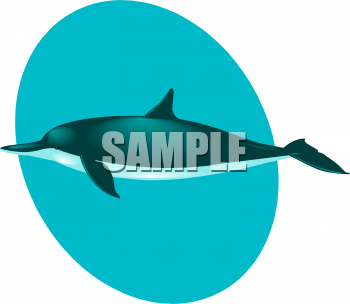 Dolphin Clipart