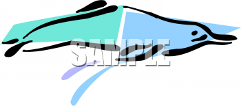 Dolphin Clipart