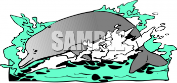 Dolphin Clipart