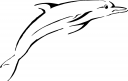 Dolphin Clipart