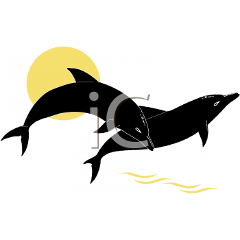 Dolphin Clipart