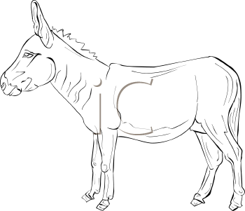Donkey Clipart