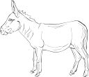Donkey Clipart