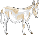 Donkey Clipart