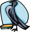 Dove Clipart