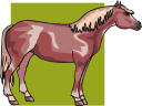Horse Clipart
