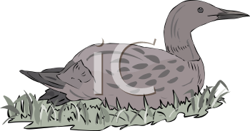 Geese Clipart