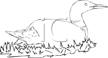 Geese Clipart