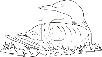 Geese Clipart