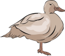 Geese Clipart