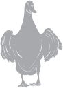 Geese Clipart