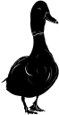 Geese Clipart