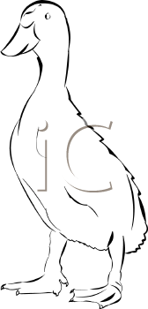 Geese Clipart