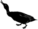 Geese Clipart