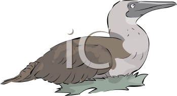Geese Clipart