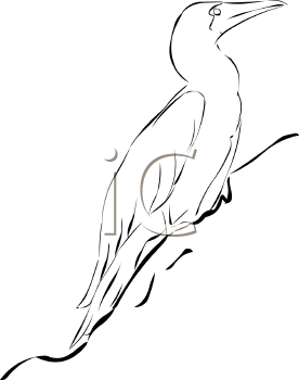 Geese Clipart