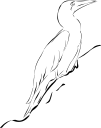 Geese Clipart
